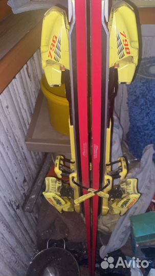 Горные лыжи