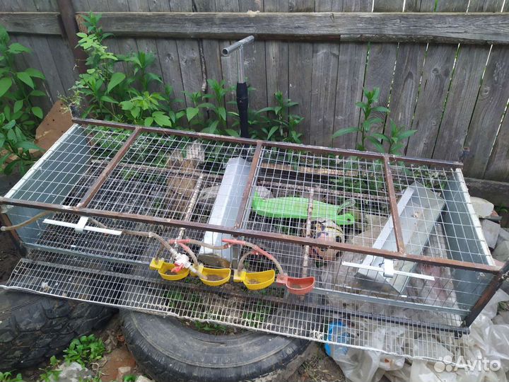 Двойная клетка для перепелов б/у торг