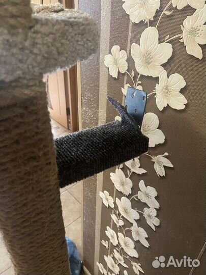 Когтеточка домик для кошки