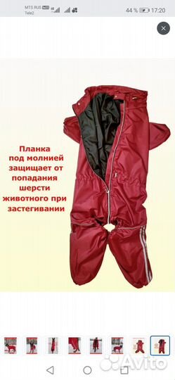 Дождевик для средней собаки