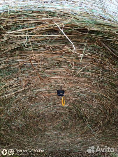 Сено в рулонах