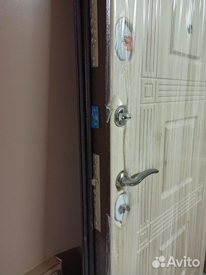 Дверь входная металлическая с коробкой