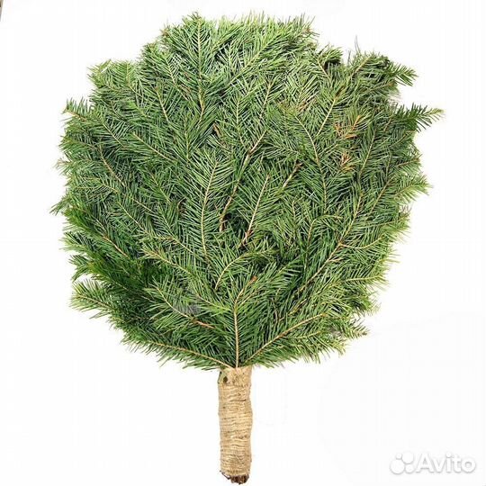 Веники для бани - Пихтовые