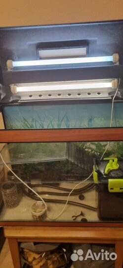 Акватеррариум для рептилий торг