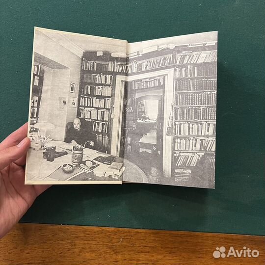 В. Шкловский Энергия заблуждения 1981г