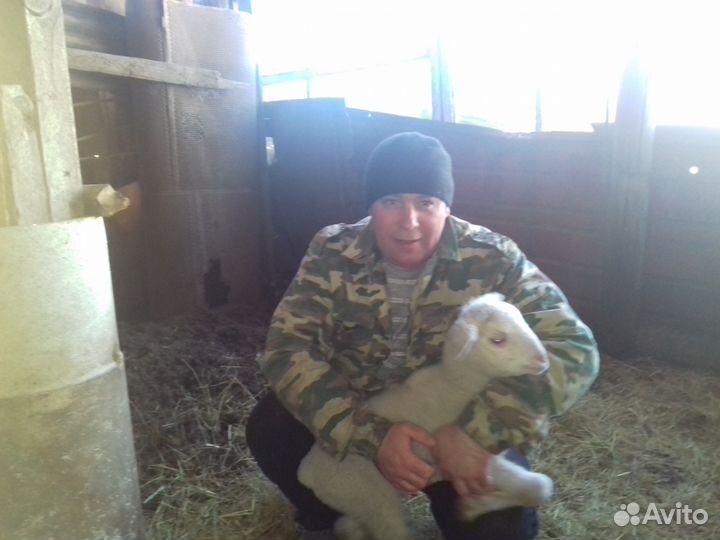 Управляющий ферм.хоз, автосервисом,автомойкой