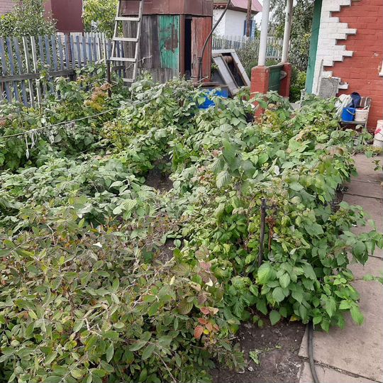 Дача 20 м² на участке 7 сот.