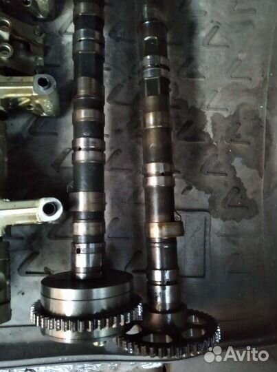 Распредвал выпускной honda stepwgn RF4 K20A