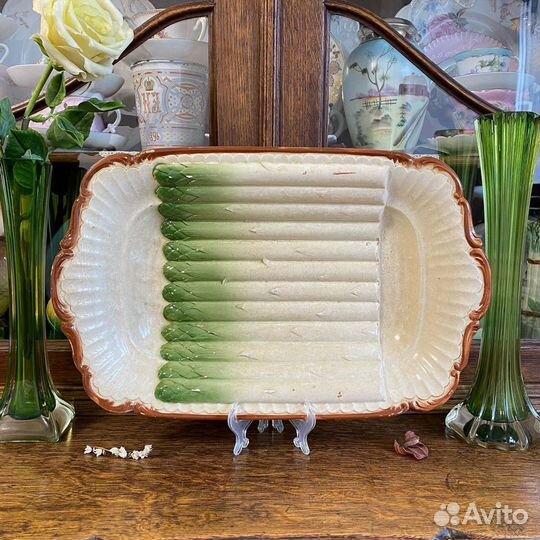 Сухарница спаржа