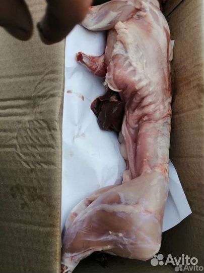 Мясо кроликов