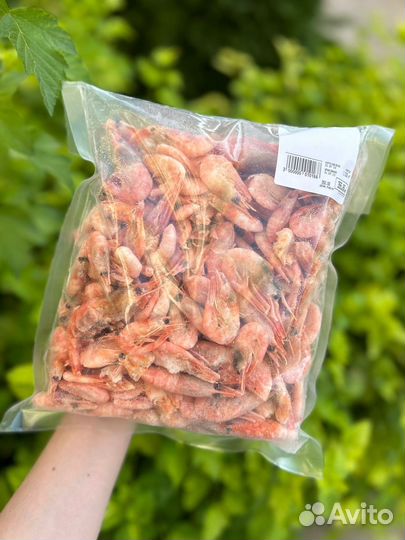 Креветка мурманская