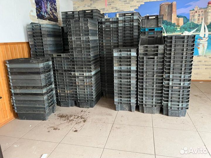 Ящик пластиковый