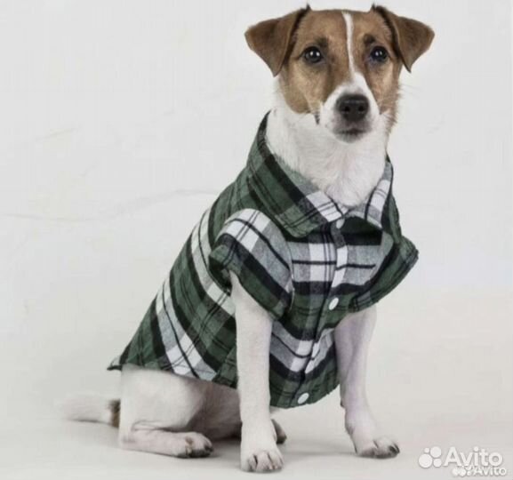 Новая рубашка для собак и кошек, р.S