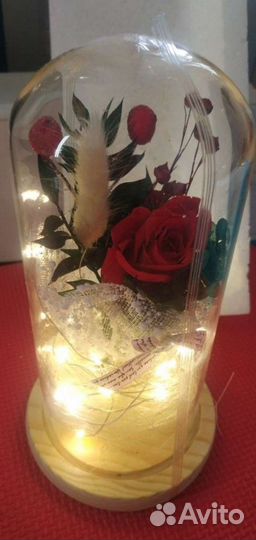 Ночник, светильник Розы с подсветкой в колбе
