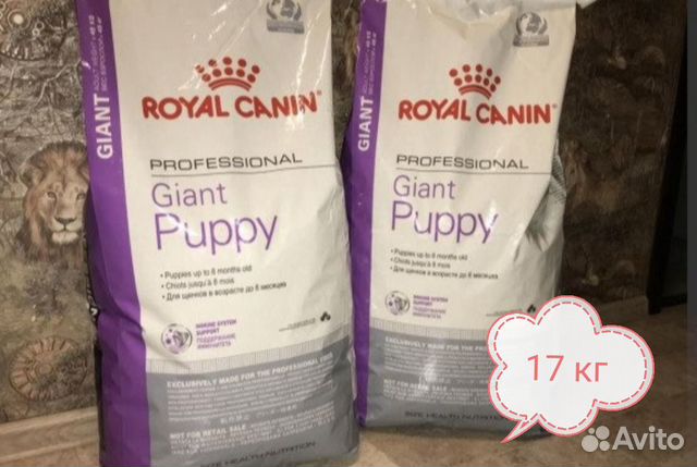 Гигант паппи. Роял Канин Джайнт Паппи 17 кг. Роял Канин giant Puppy 17кг. Royal Canin giant Puppy 17. Royal Canin giant Puppy 17 кг.