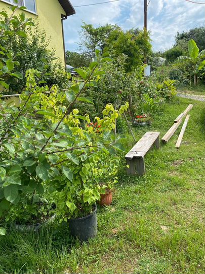 Участок 4,5 сот. (ИЖС)