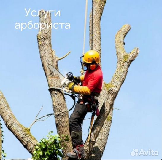 Спилить дерево