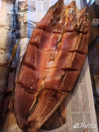 Балык жереха