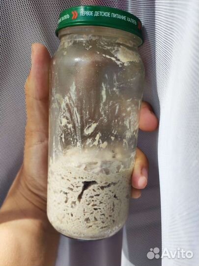 Ржаная закваска (бездрожжевая)