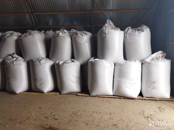 Продам Пшеницу, Ячмень