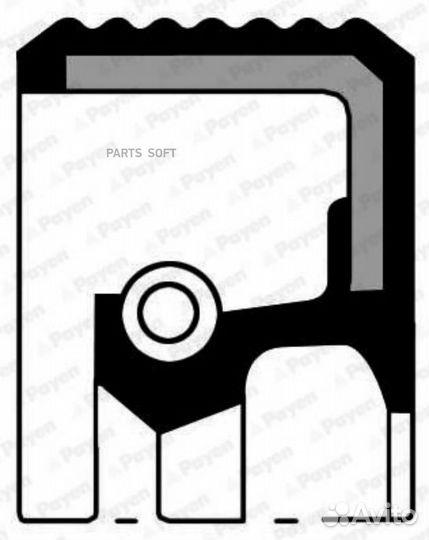Payen NA5037 Сальник вала