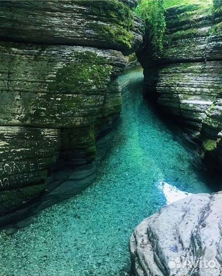 Индивидуальные туры в Абхазию