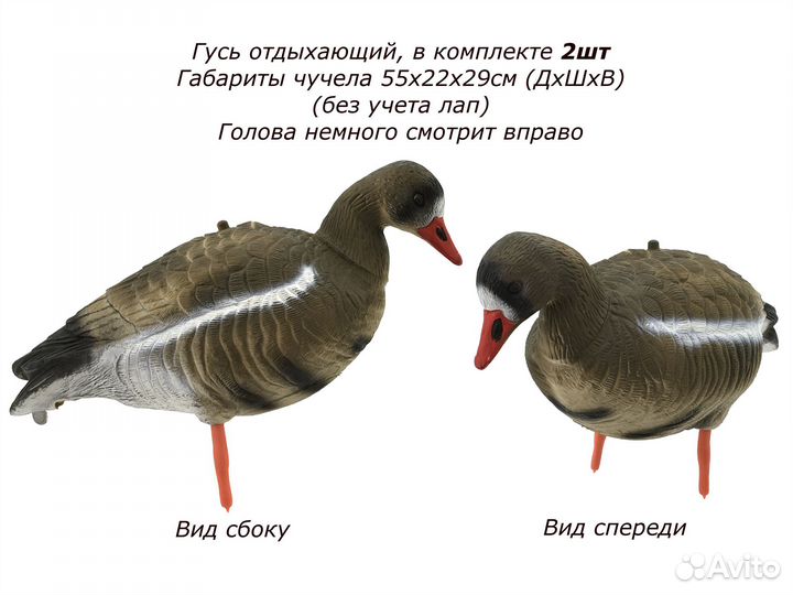 Чучела белолобых гусей для охоты 10 штук комплект