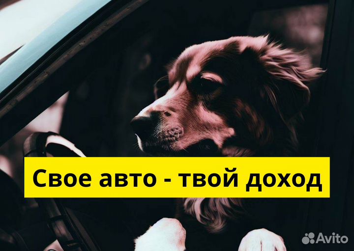Ваш авто станет работой в Яндекс.Go