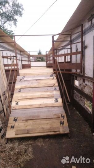 Скотовоз 2-х этажный. Перевозка скота