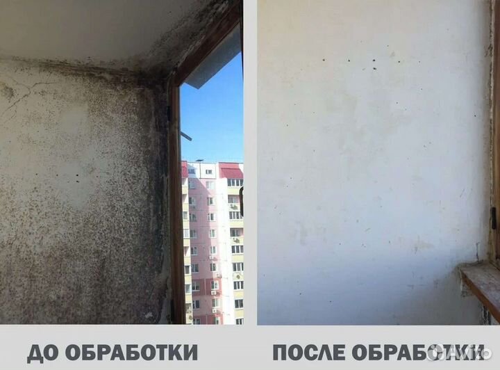 Муж на час, Домашний Мастер, Демонтаж, Квартир