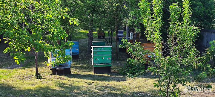 Ульи для пчел