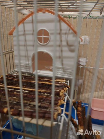 Клетка для грызунов