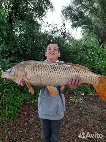 Рыбалка В астрахани