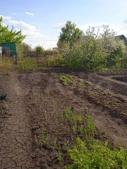 Дача 12 м² на участке 5 сот.