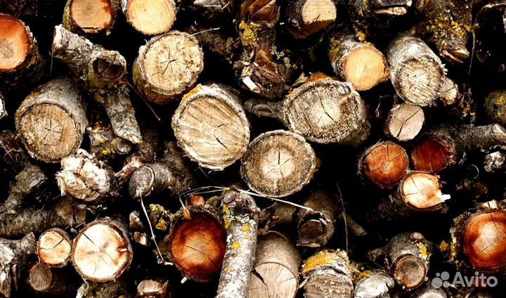 Дрова любого качества