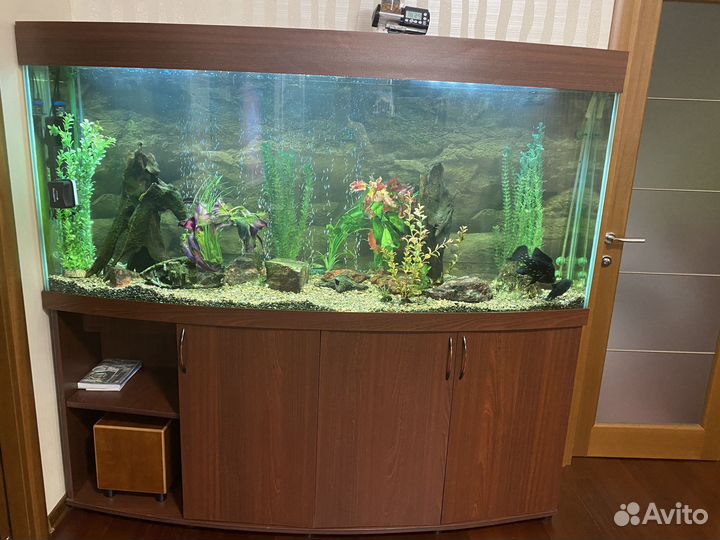 Аквариум с тумбой 600 литров
