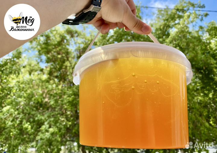 Мед свежий натуральный. Акация