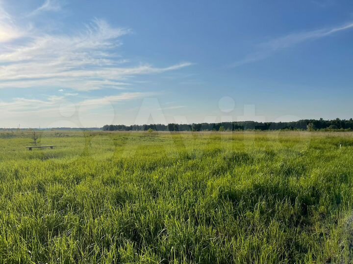 Участок 10 сот. (ИЖС)