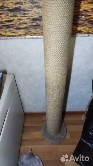 Когтеточка с домиком бу