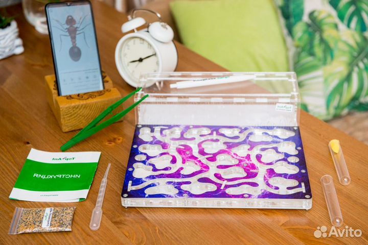 Ферма с муравьями / Формикарий