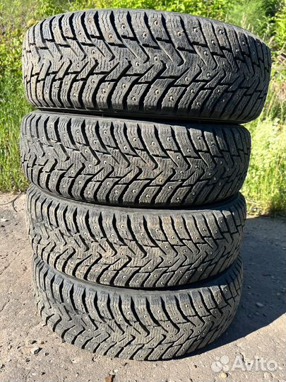 Nordman 8 175/70 R14 88T