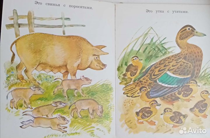 Лучшие книги о природе России и СССР