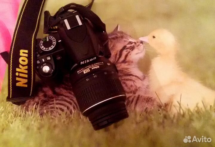 Nikon D3100 и объектив DX AF-S nikkor 18-55