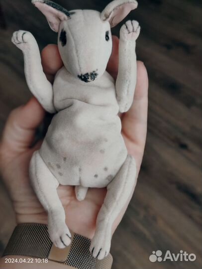 Бультерьер