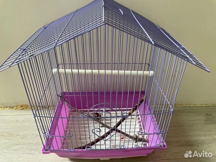 Продвм клетку