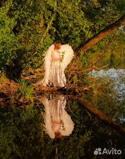 Крылья ангела