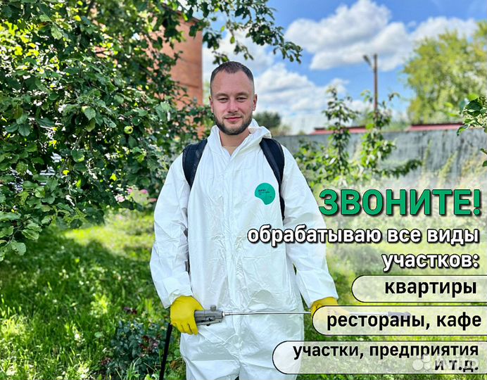 Избавиться от тараканов и клопов