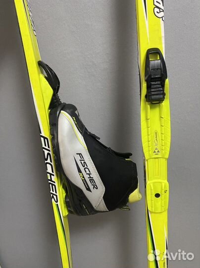 Лыжи fisher sprint crown