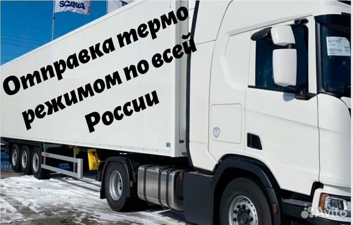 Краб стригун конечности оптом от поставщика