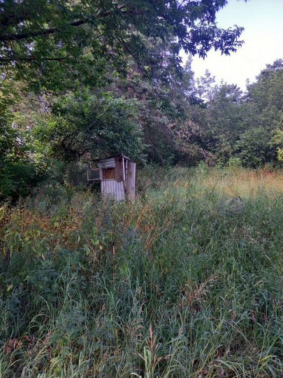 Участок 12 сот. (ИЖС)